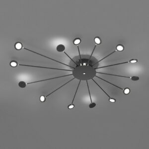 LED stropní svítidlo Peacock, 15 zdrojů, černá