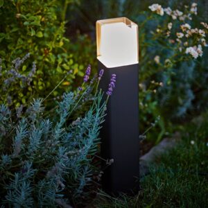 LED svítidlo Dalia s plastovým difuzorem 50 cm