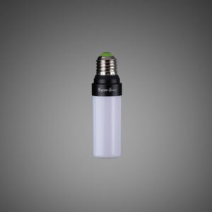 Buster + Punch LED žárovka E27 5W 2 700K stmívatelná