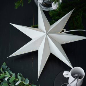 Živá dekorativní hvězda, závěsná, šedá, Ø 60 cm